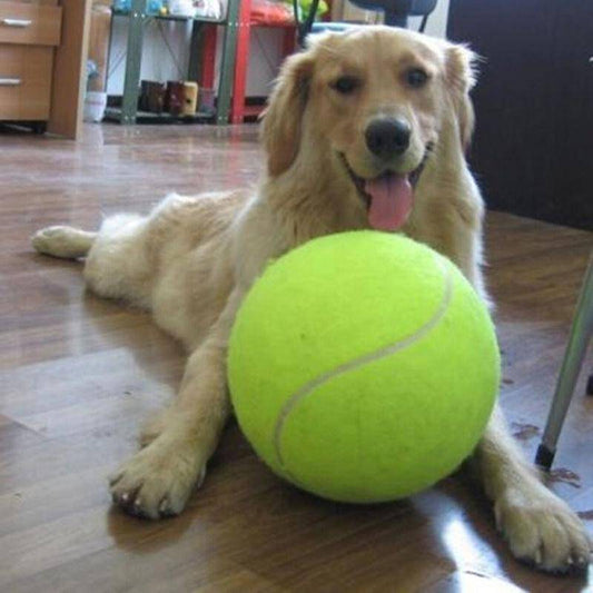 Jumbo Tennis Ball-0